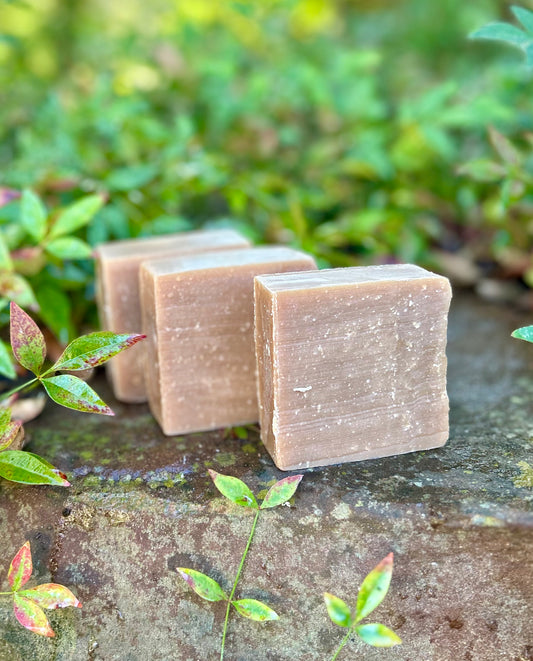 Pumpkin Apple Butter Delight Goat Milk Soap